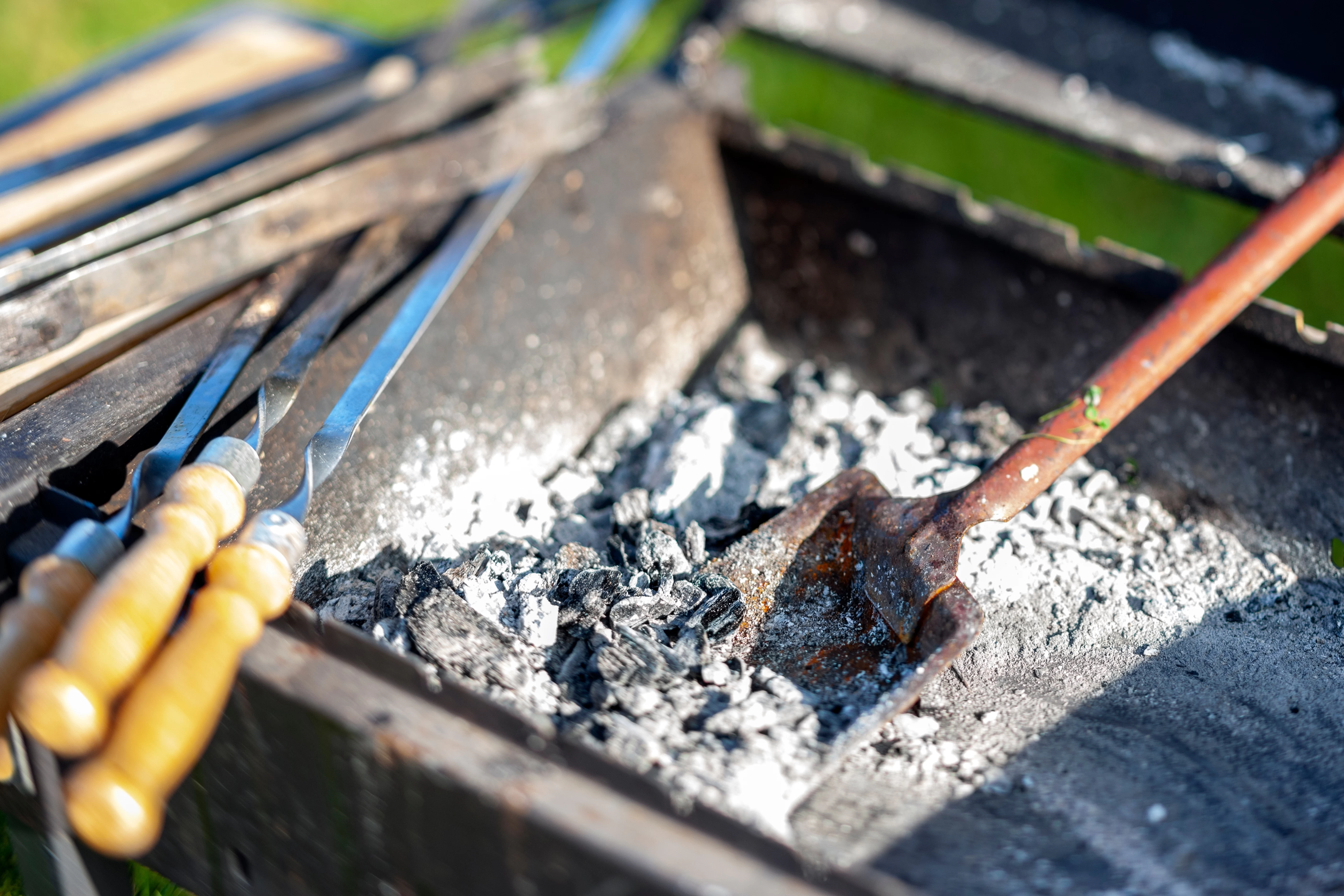 Popel z grilu nevyhazujte bez rozmyslu: některým rostlinám pomůže, jiným přitíží